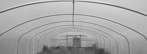 DSCF7856 - Copy - B&W