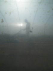 I'll see you on the other side...