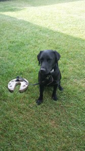 A novel enough use for a gazebo weight